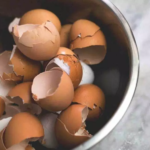 Лушпите од јајца се богатство, а ние ги фрламе: И корисни се и лекуваат!