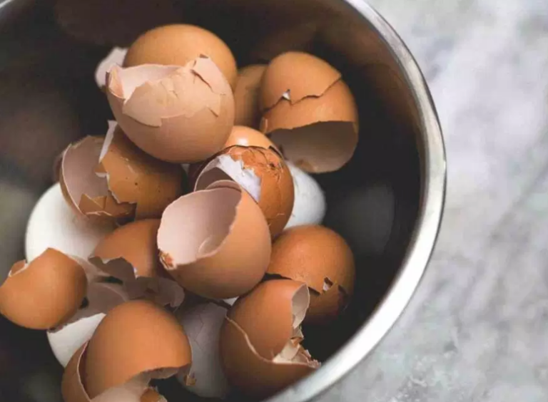 Лушпите од јајца се богатство, а ние ги фрламе: И корисни се и лекуваат!