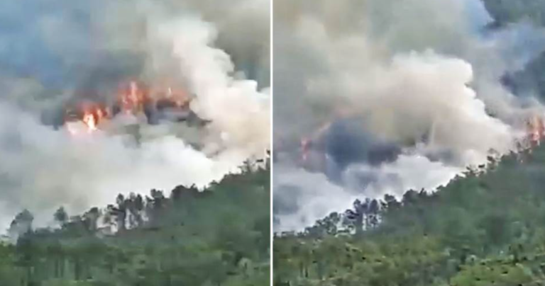 Гори шума, спасувачите на терен: Страшно ВИДЕО од урнатиот авион со 132 патника