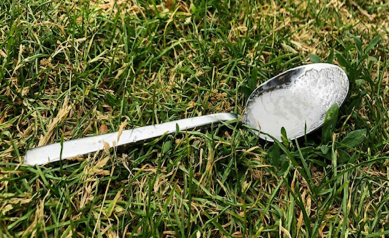 Еве зошто секој треба да остави лажичка шеќер во дворот: Причината ќе ве воодушеви